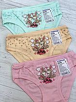 Трусики спідні 5576 BAYKAR ТУРЦІЯ