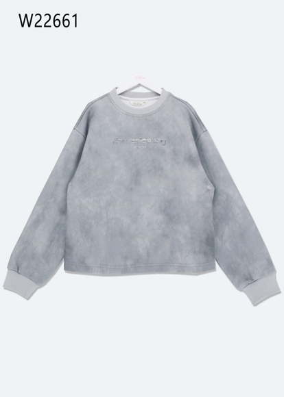 Толстовка 22661