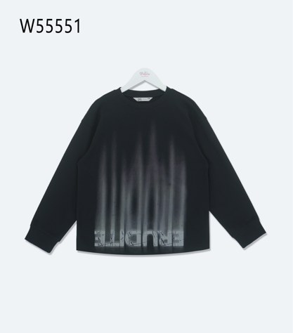 Джемпер 55551