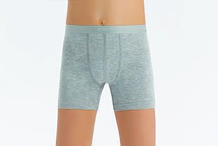 Боксери спідні BAY3310 BAYKAR ТУРЦІЯ